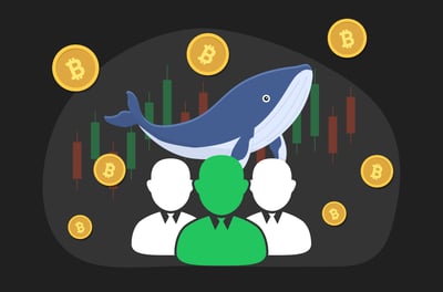 آخر المقالات صورة المقال المميزة